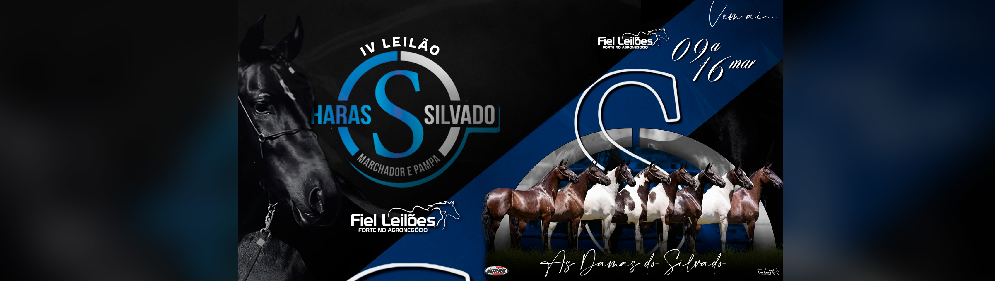 IV Leilão Haras Silvado