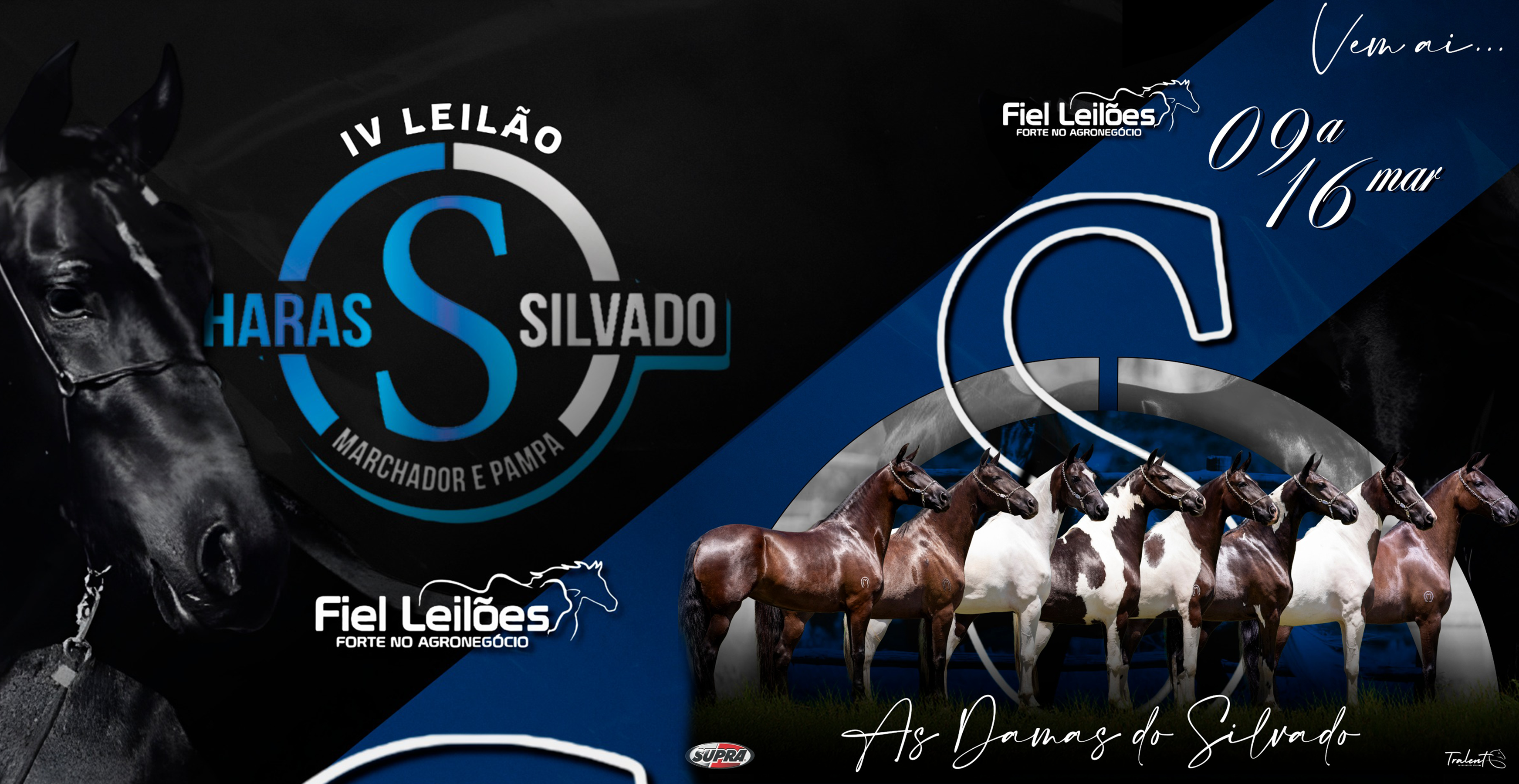 IV Leilão Haras Silvado