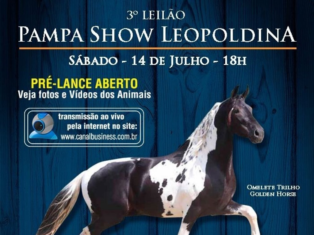 Foto: Haras Toulon oferta 4 lotes no 3º Leilão Pampa Show Leopoldina