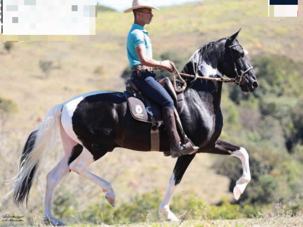 Foto: JOTA CAXAMBUENSE