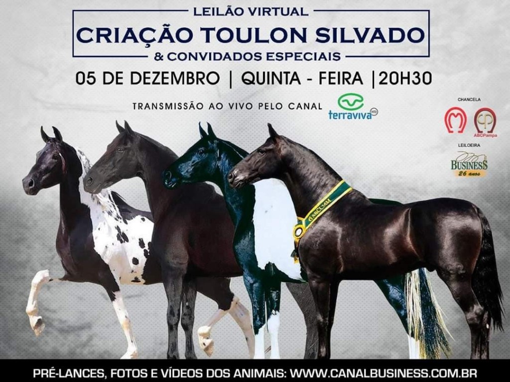 Foto: LEILÃO VIRTUAL CRIAÇÃO TOULON SILVADO E CONVIDADOS