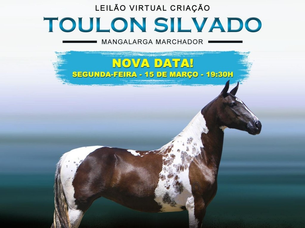 Foto: LEILAO HARAS SILVADO - 15/03/21