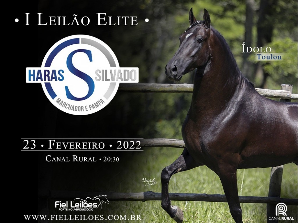 Foto: 1º LEILAO ELITE HARAS SILVADO E CONVIDADOS