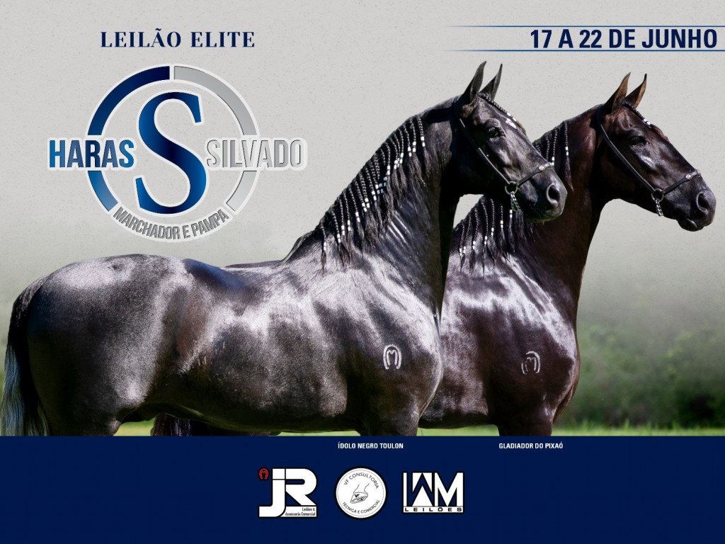 Foto: LEILÃO ELITE HARAS SILVADO