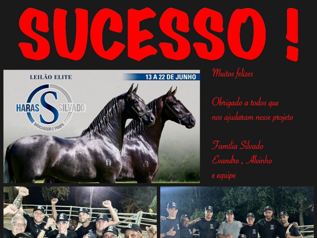 Foto: Sucesso! Pregão Haras Silvado