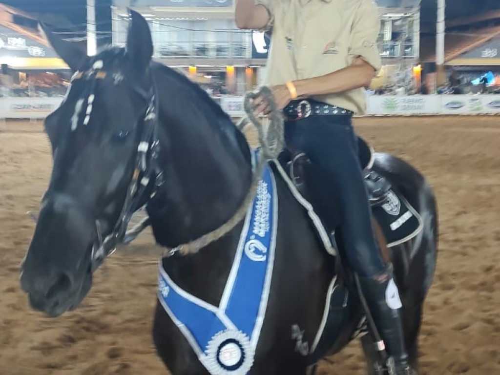 Foto: Prêmio da Exposição Nacional do Mangalarga Marchador