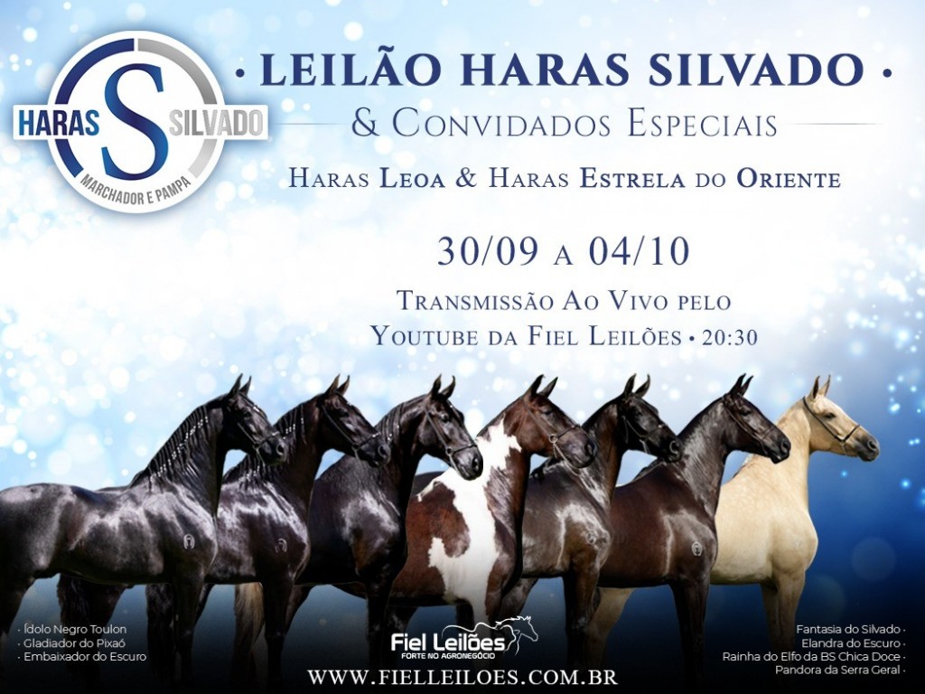 Foto: Leilão Haras Silvado e Convidados Especiais