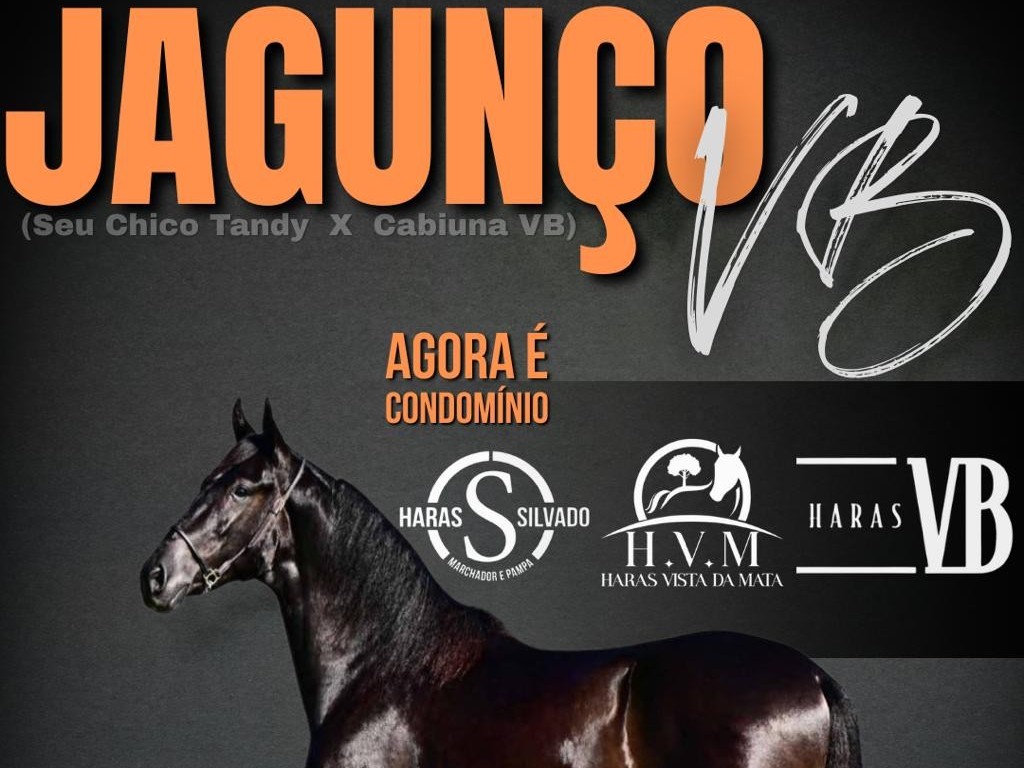 Foto: Jagunço VB