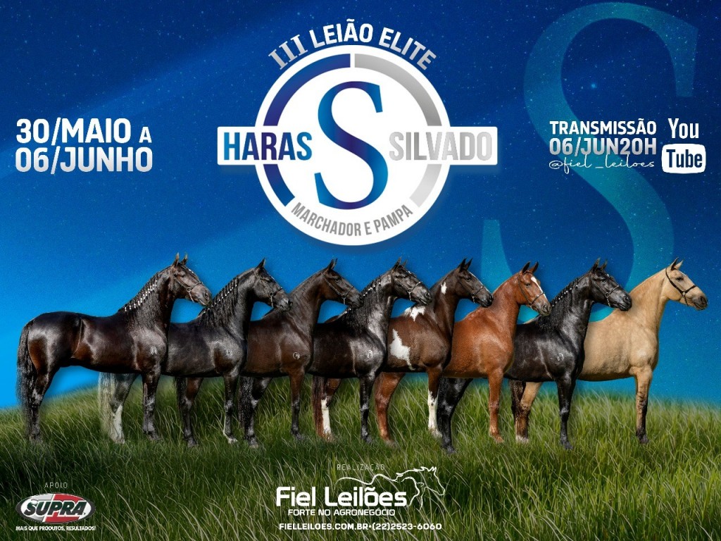 Foto: III Leilão Elite Haras Silvado