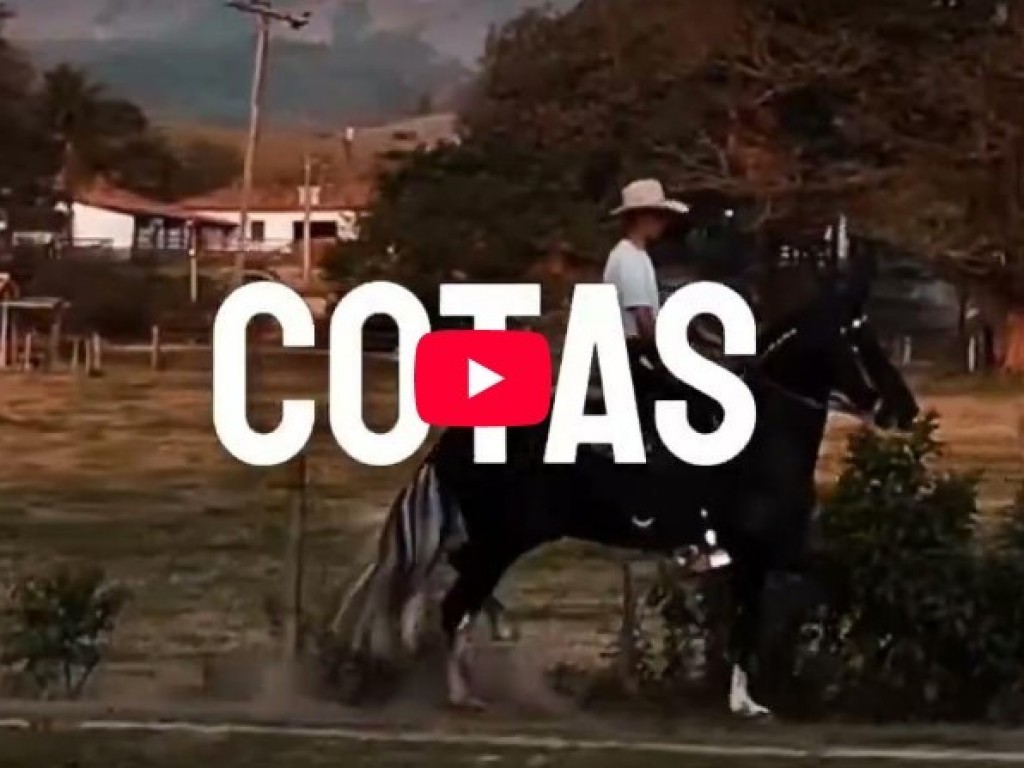 Foto: Haras Silvado - Coberturas, Cotas e Filhos